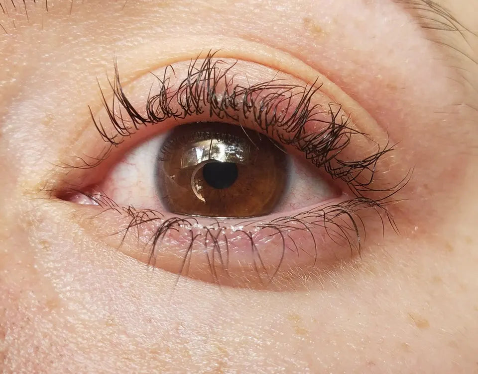 Lash Lift